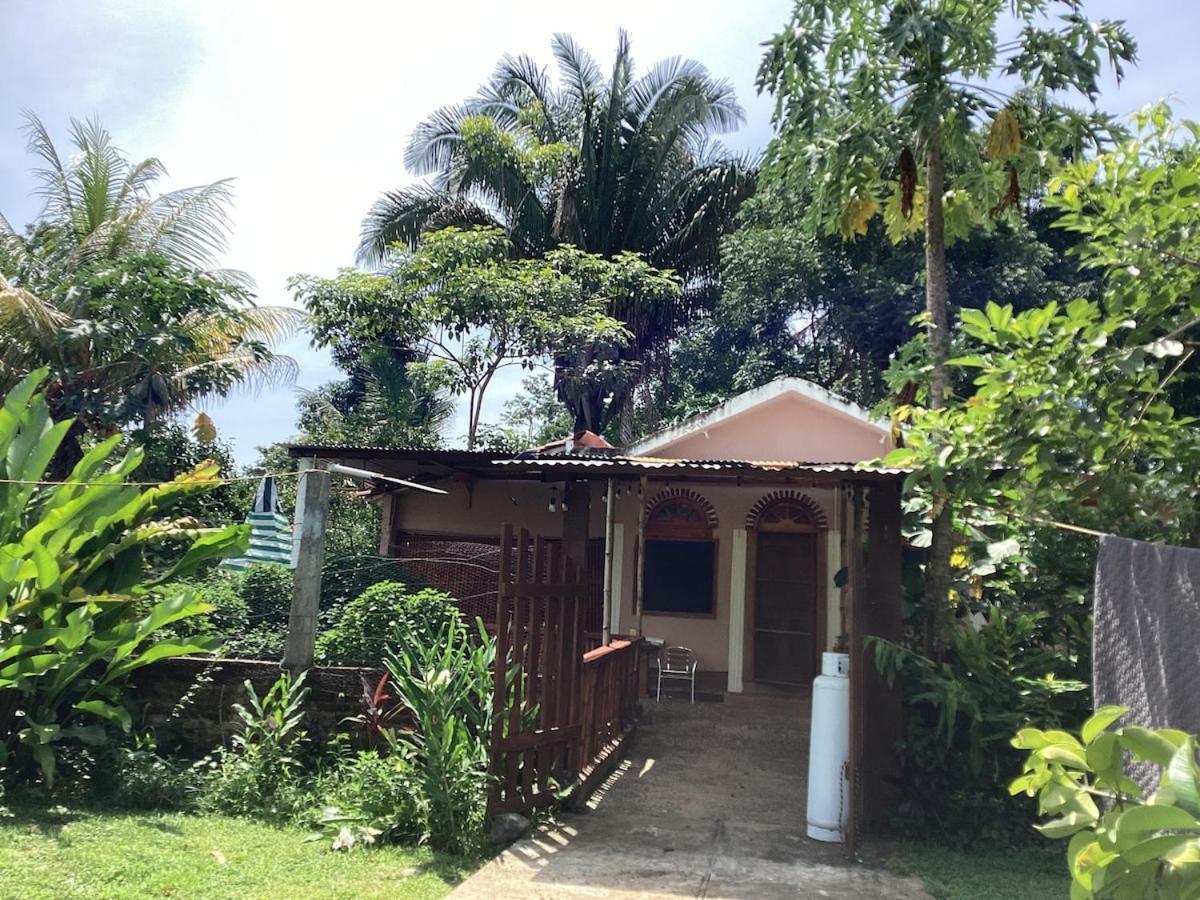 Exotic Flower Cabin2 Pool Agua Bendita Exteriör bild